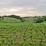 Charmante Girondine Avec Jardin, Proche St-emilion Prázdninový dům Libourne