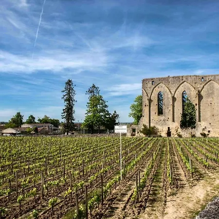 Maison Girondine Cosy Avec Jardin Et Vue Vigne - Proche St-émilion Casa vacanze *