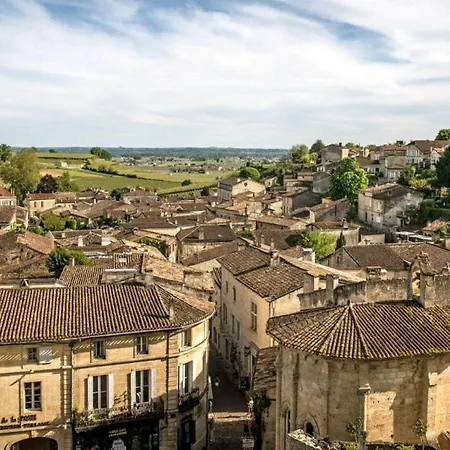 Maison En Pierre Avec Jardin Et Vue Vigne - St-emilion *