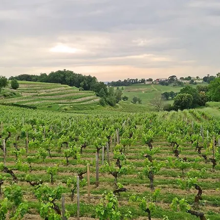 Maison Cosy Avec Vue Sur Les Vignes. Ferienhaus Libourne