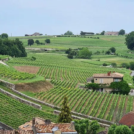 Maison Girondine Cosy Avec Jardin Et Vue Vigne - Proche St-émilion Casa vacanze *