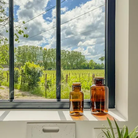 Maison Girondine Cosy Avec Jardin Et Vue Vigne - Proche St-émilion * Libourne